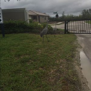 Meet your Posher, Pedro